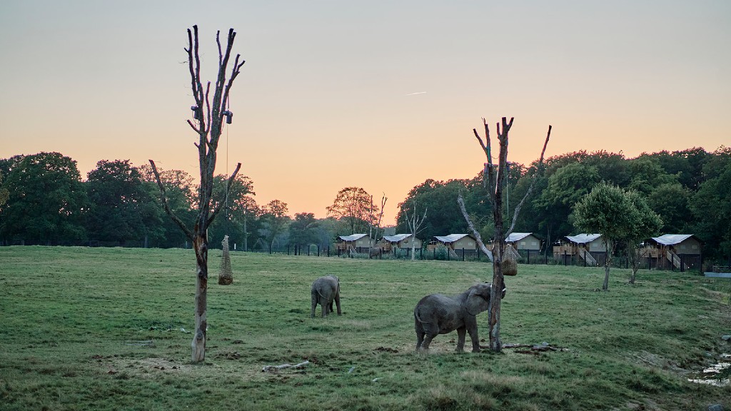 Knuthenborg Safari Camp
