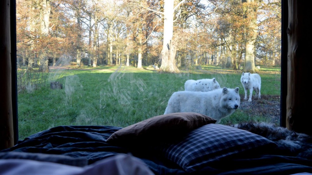 Knuthenborg Safari Camp