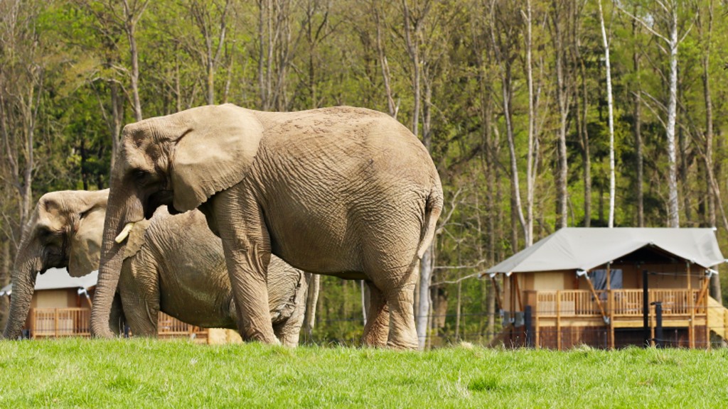 Knuthenborg Safari Camp