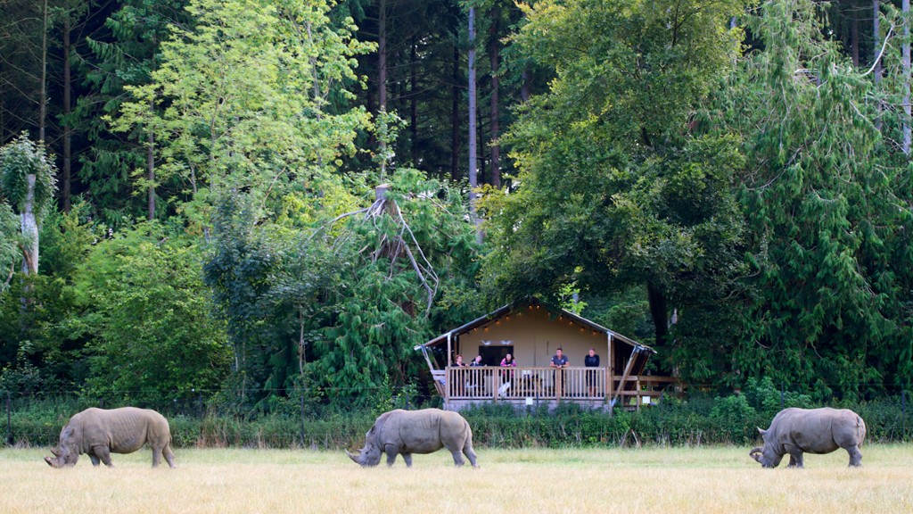 Knuthenborg Safari Camp