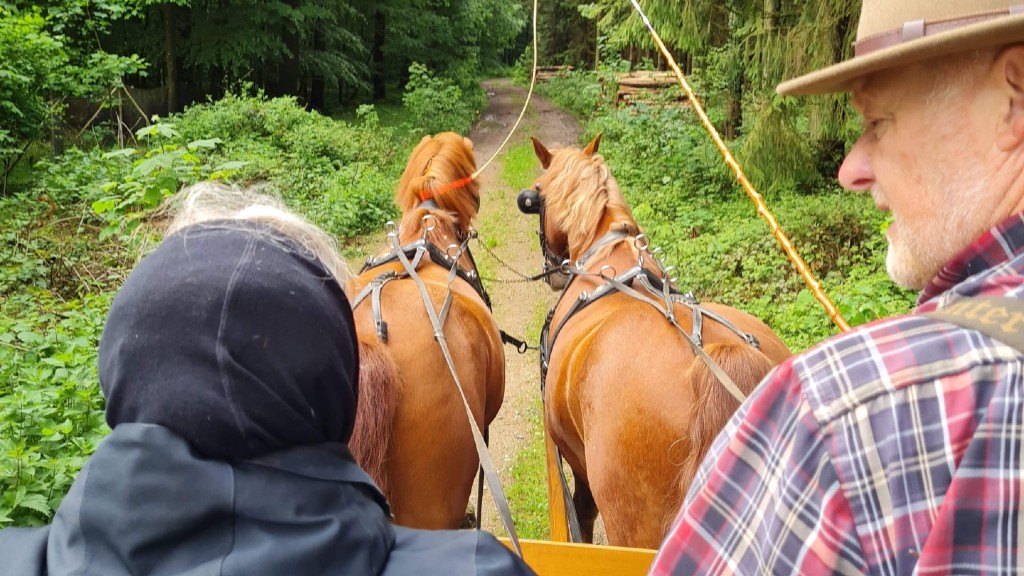 Paradiset og Skifterhuset