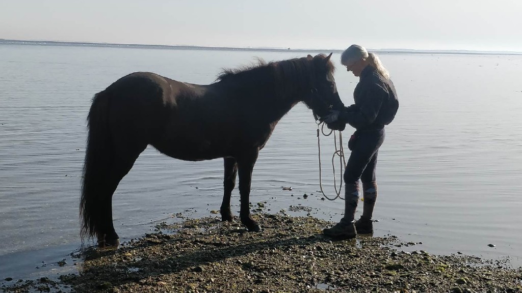 Paradiset og Skifterhuset