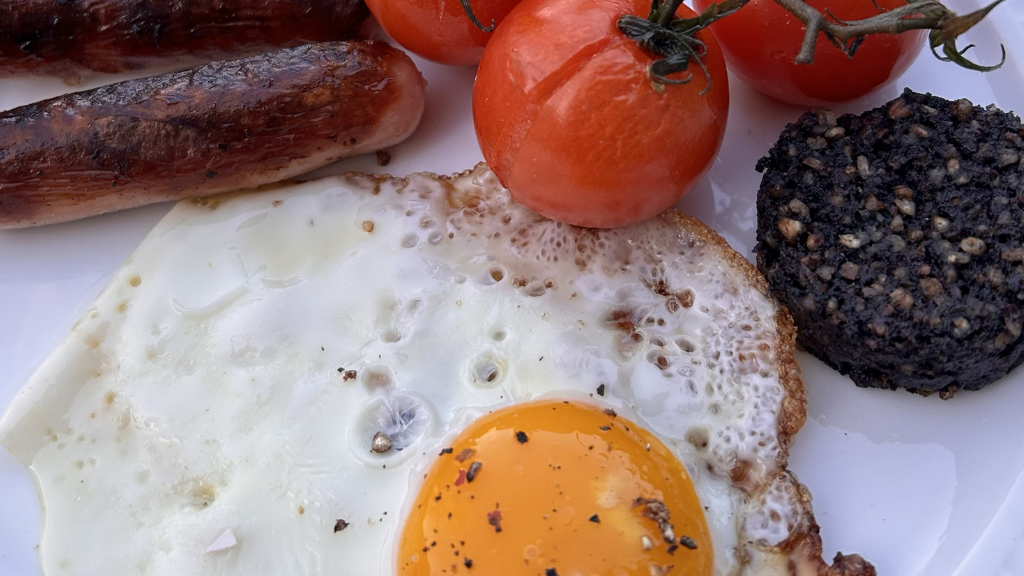 Højriisgaard Bed and Breakfast Femø