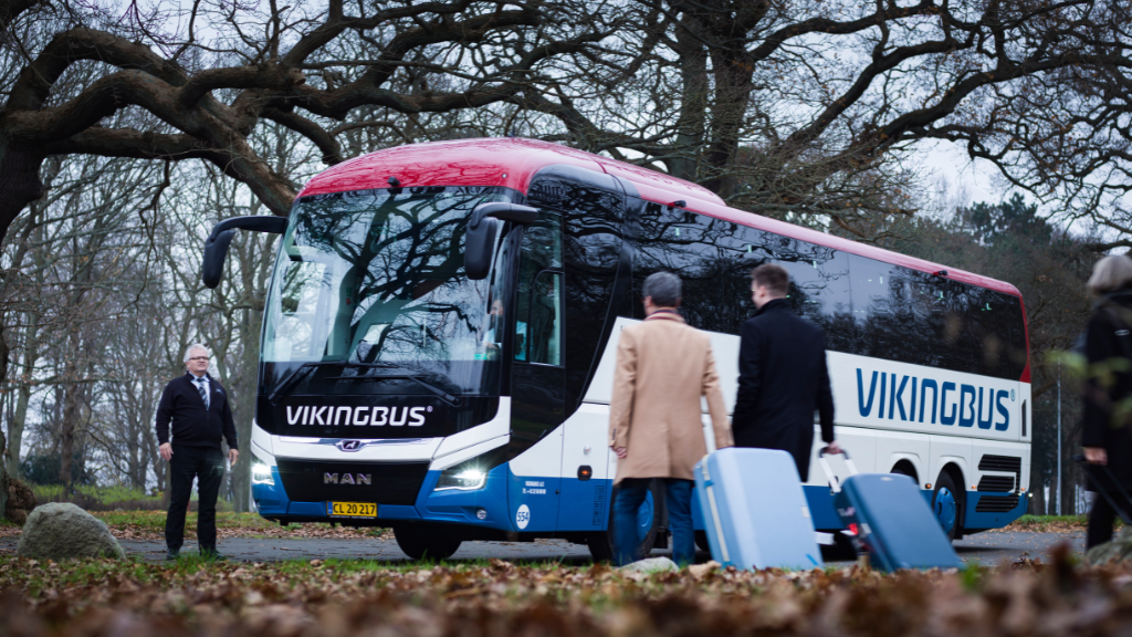 Vikingbus