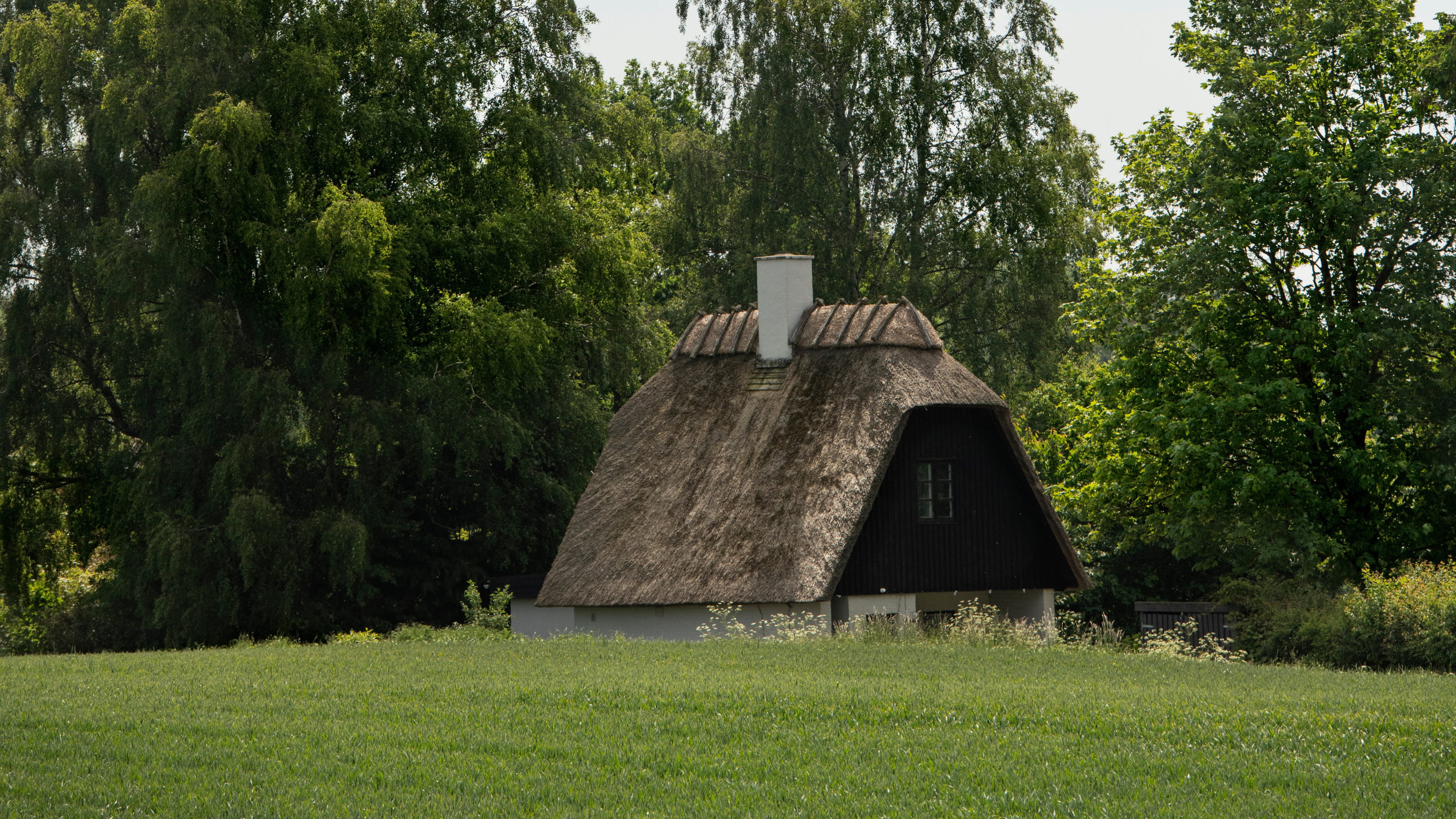 Husmandskoloni