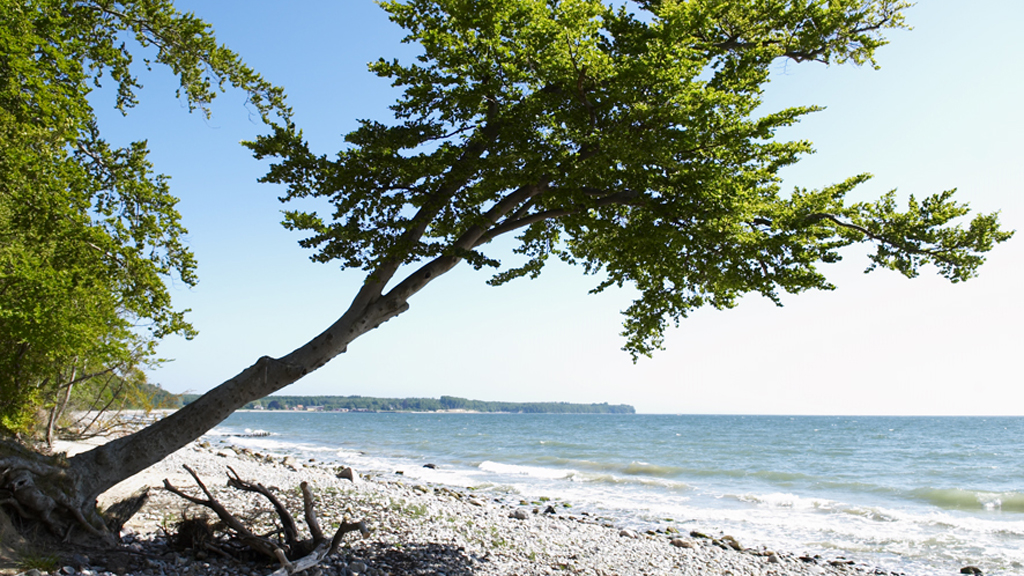 Kanu/Kajakausflüge: Um Falster herum - Etappe 3, ca. 20 km