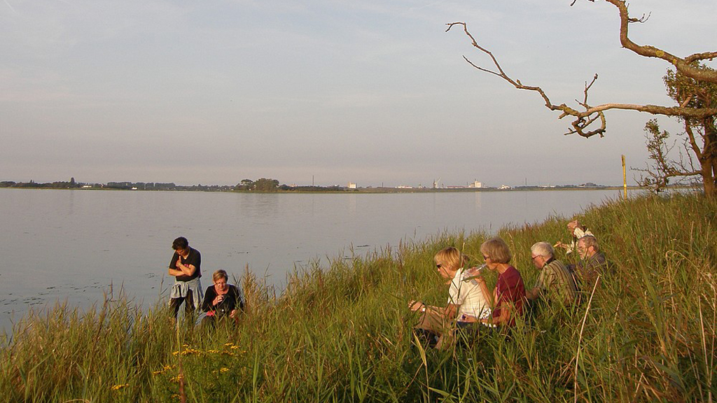 Kayak Trip: Vejlø tour, 4 - 9.5 km