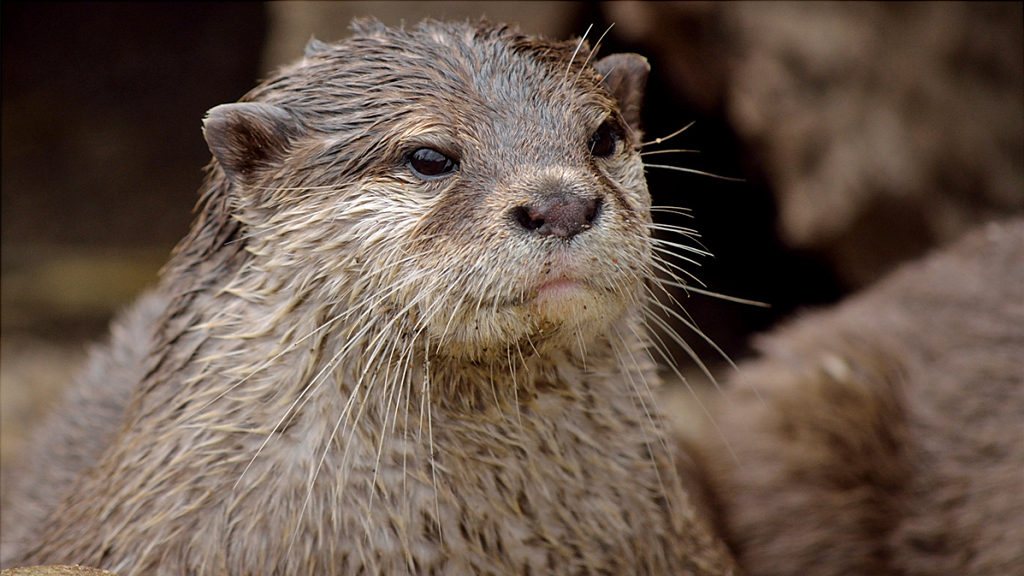 Guldborgsund Zoo