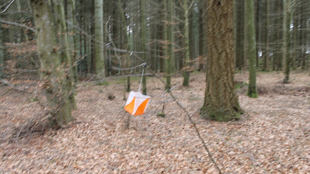 Orienteringsløb i Rold Skov
