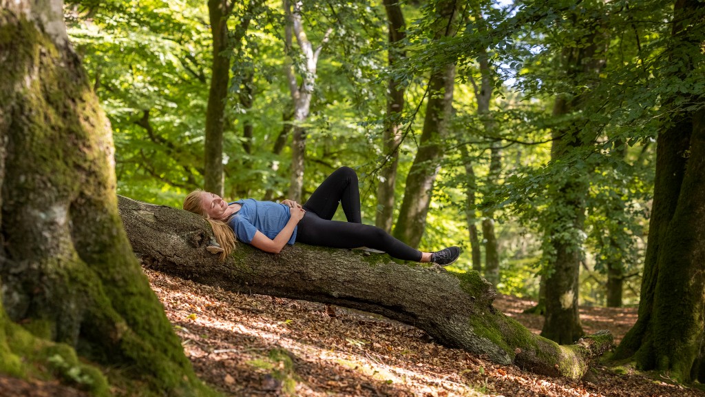 Efterårsskovbad i Rold skov