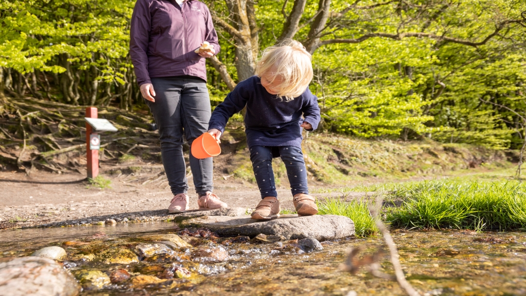 Børnevenlig Vandrerute: Den Nordlige Rundtur af Rebild Bakker