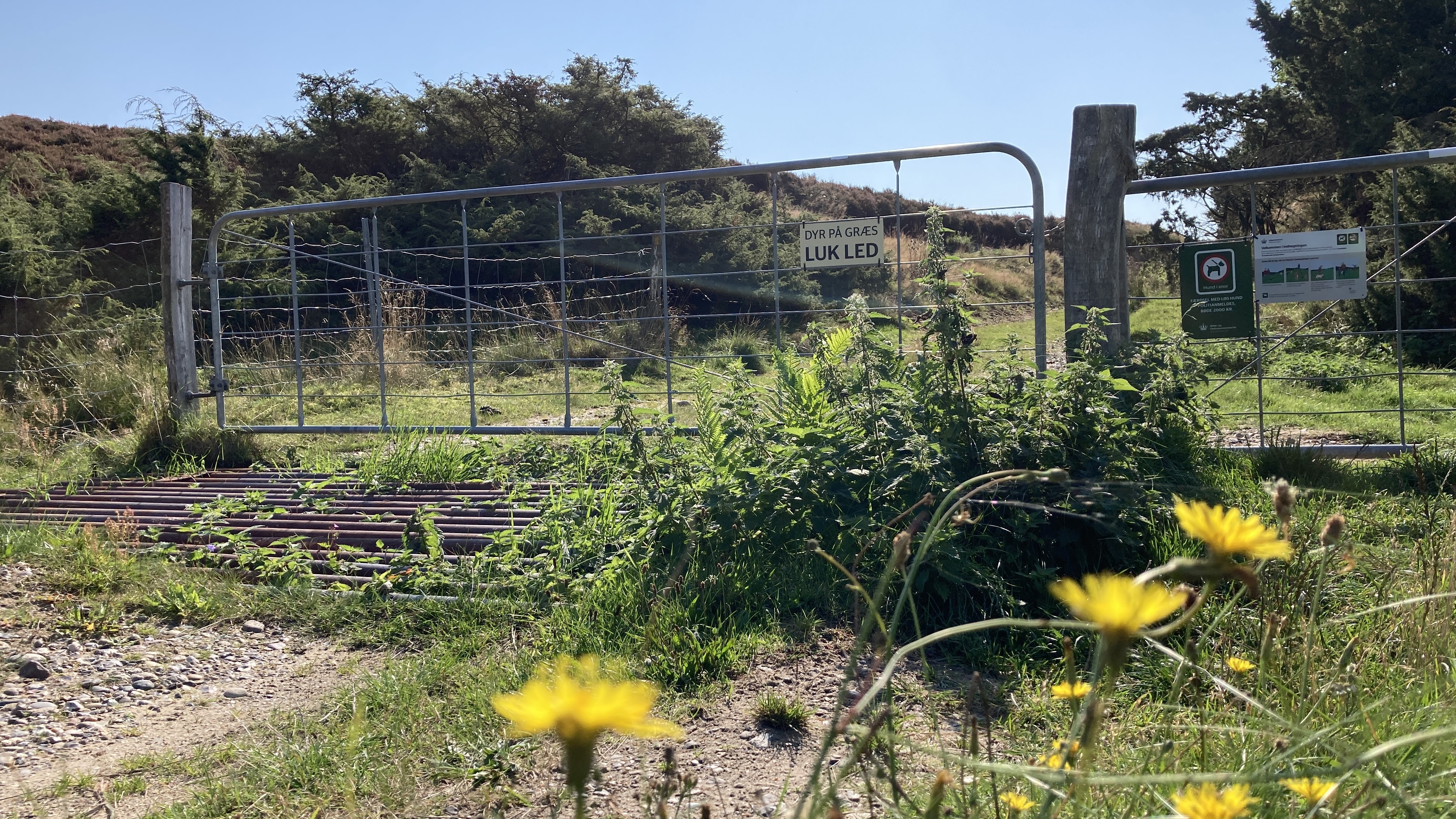 Kovadsbæk cykelrute