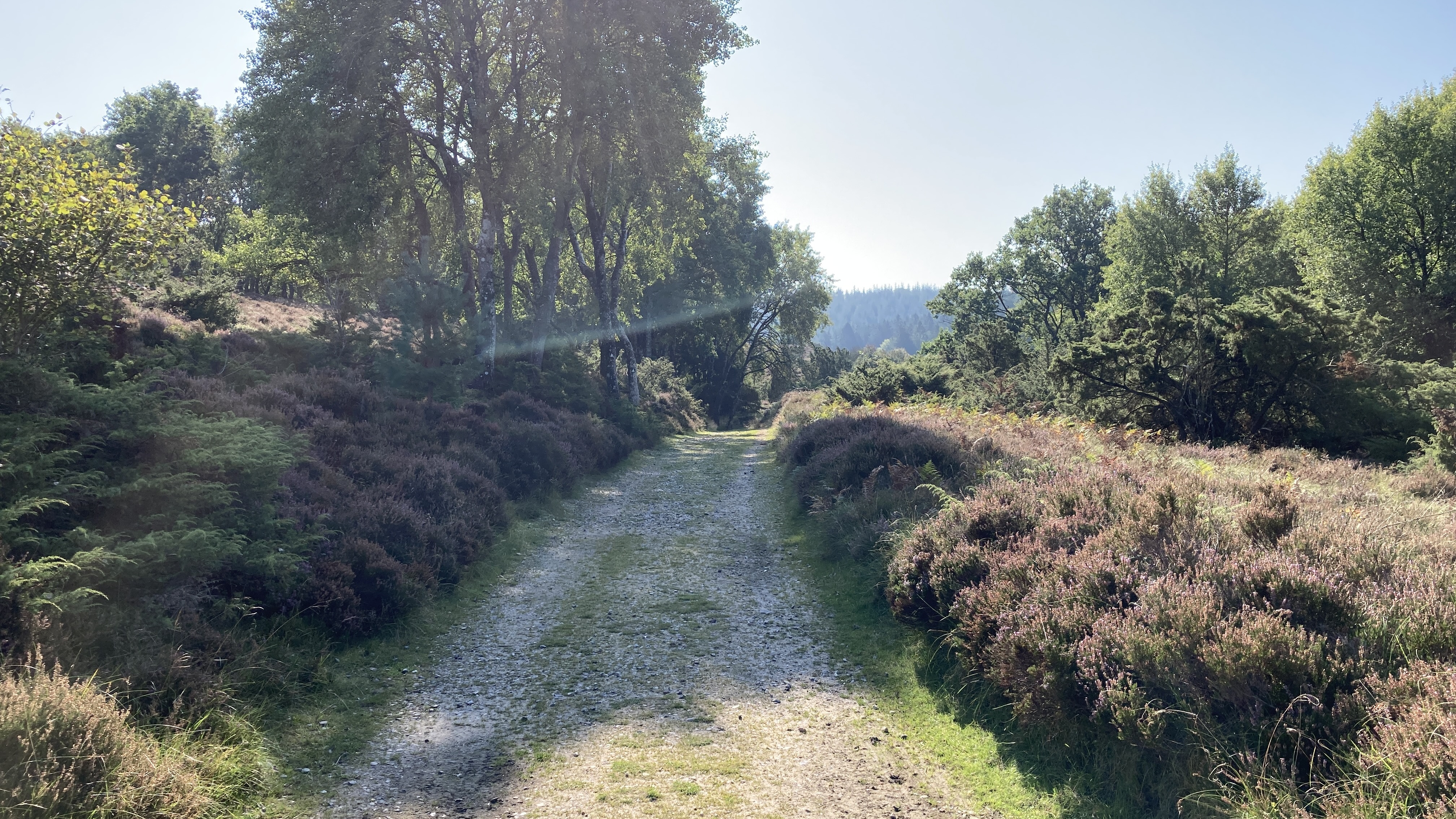 Kovadsbæk cykelrute