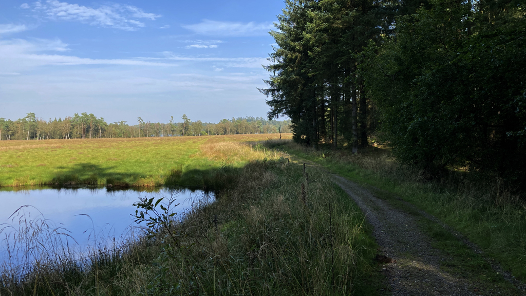 Forstrådens Gran cykelrute