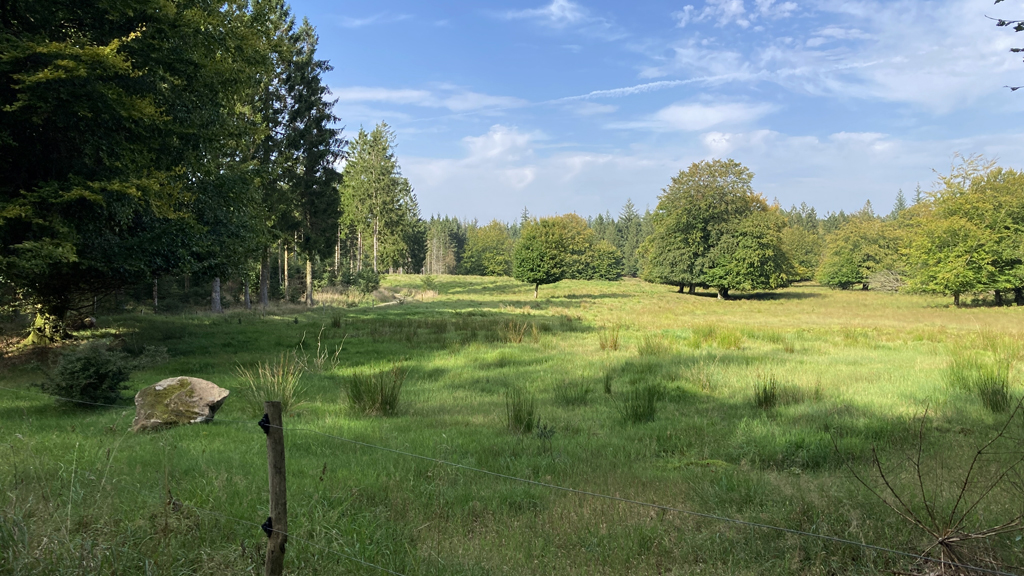 Forstrådens Gran cykelrute