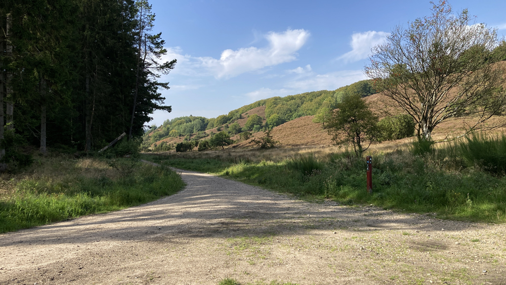 Forstrådens Gran cykelrute