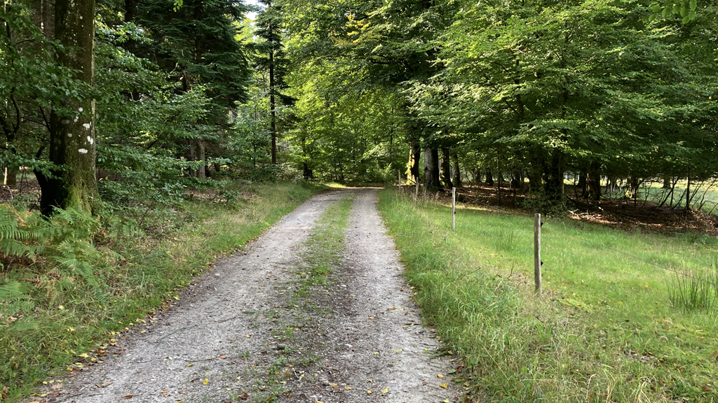 Forstrådens Gran cykelrute