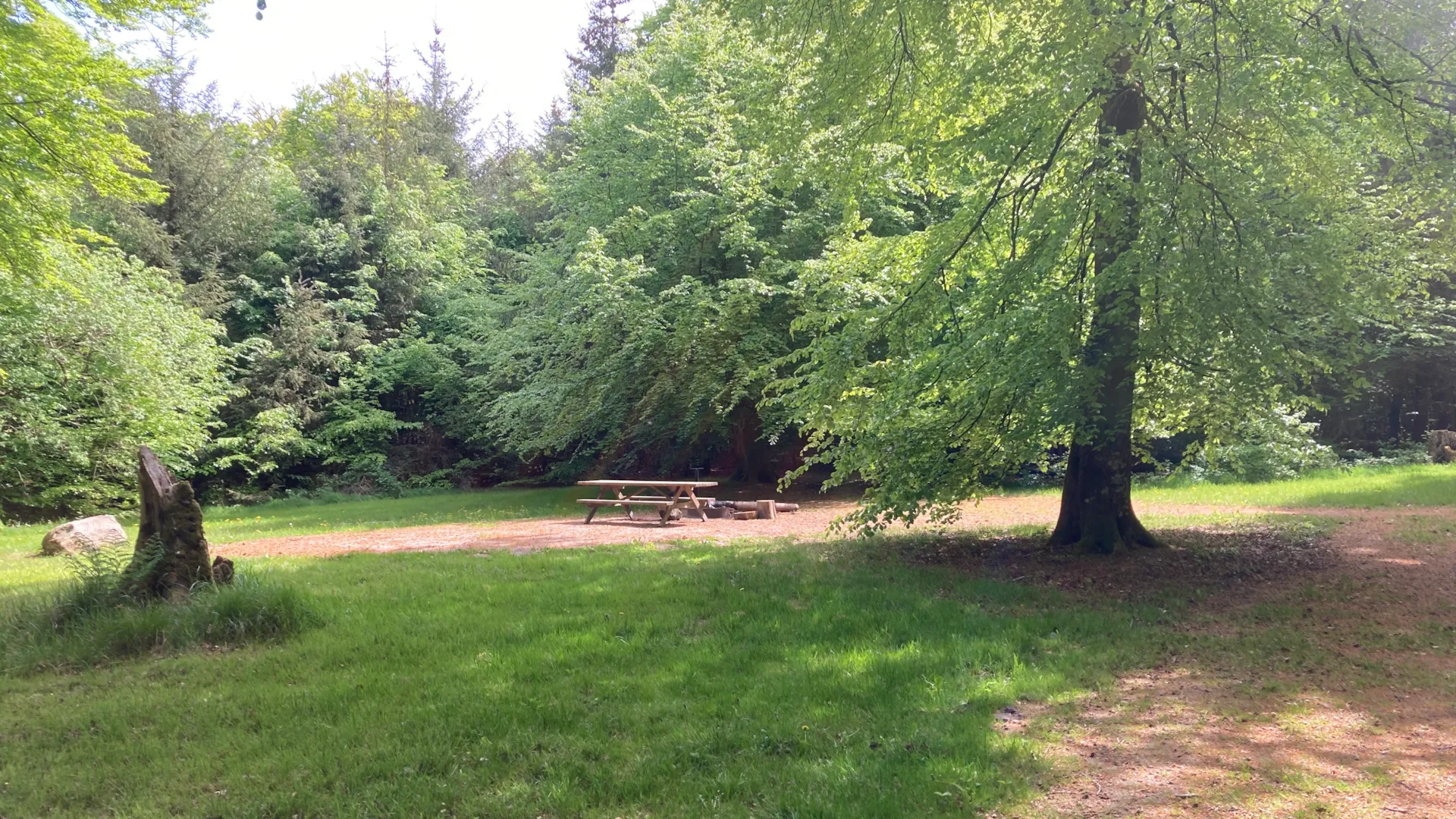 The Urskov campfire site at the troll forest