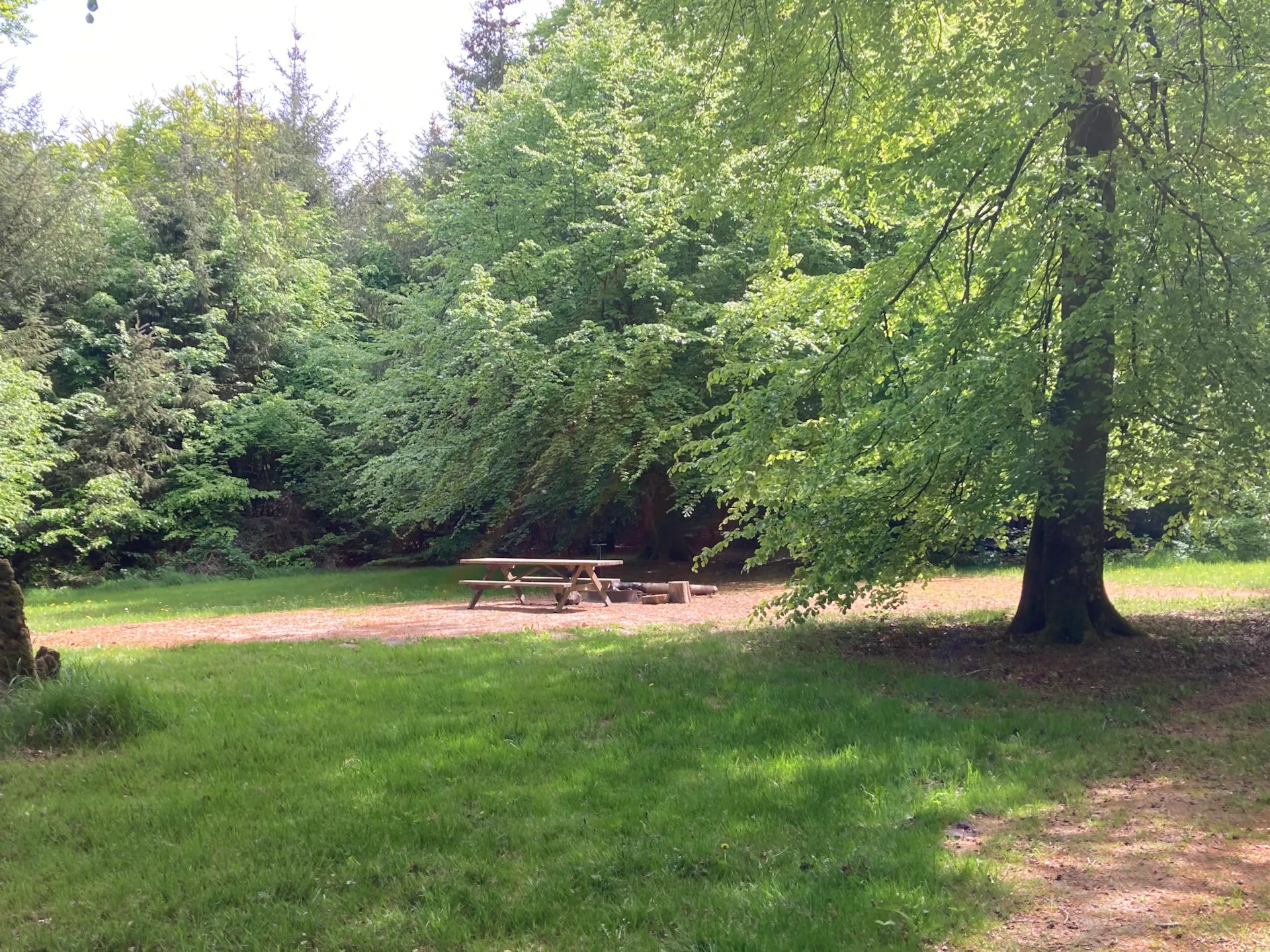 The Urskov campfire site at the troll forest
