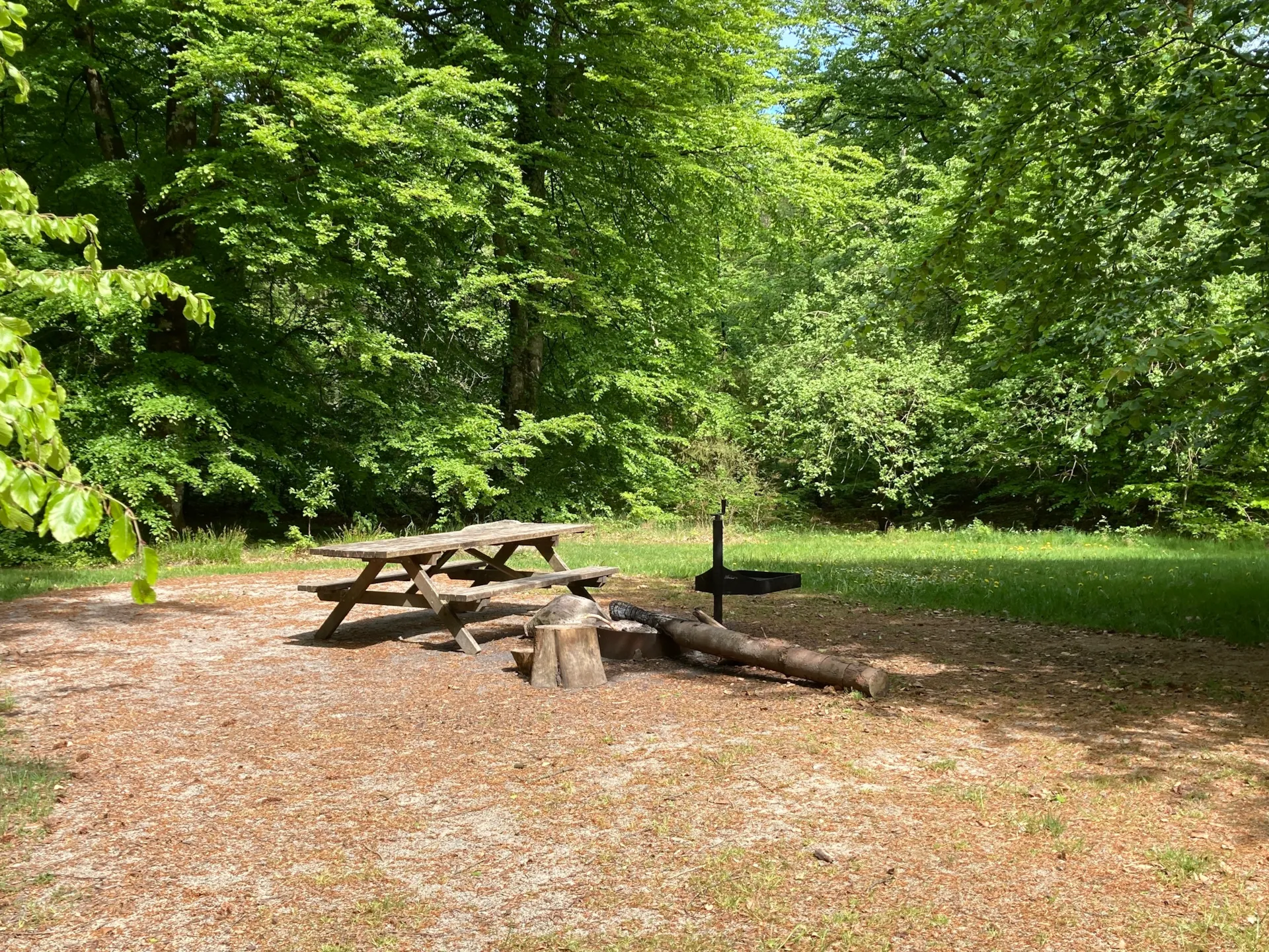 The Urskov campfire site at the troll forest