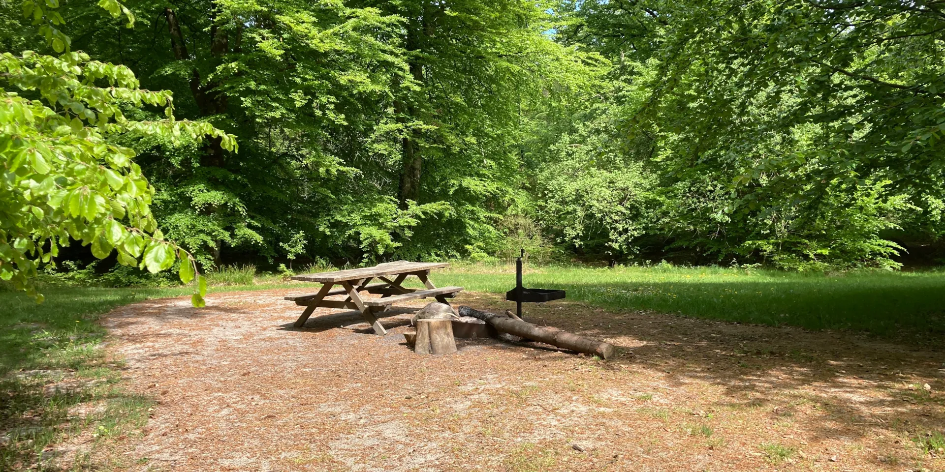 The Urskov campfire site at the troll forest