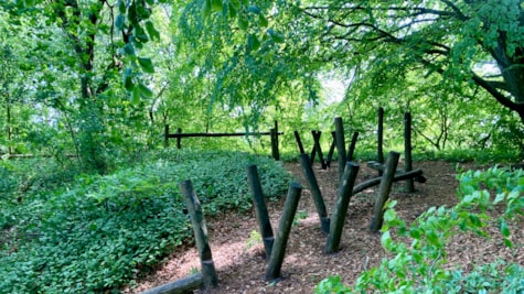 Heksegryden - naturlegeplads