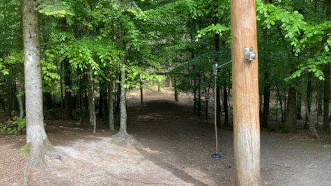 Røverknolden Naturlegeplads