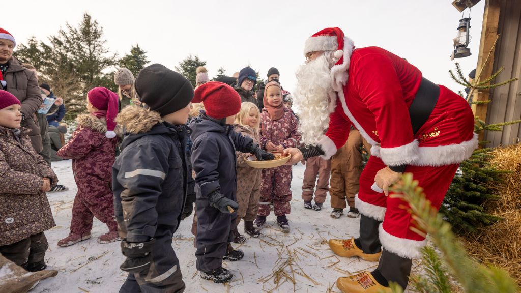 Jul på Katbakken