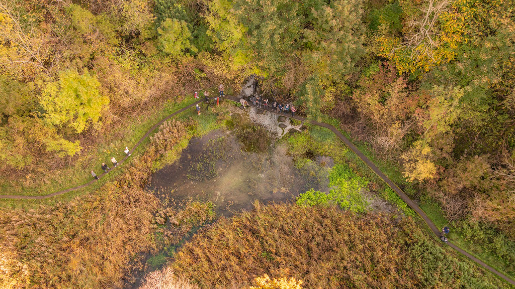 lille blåkilde drone