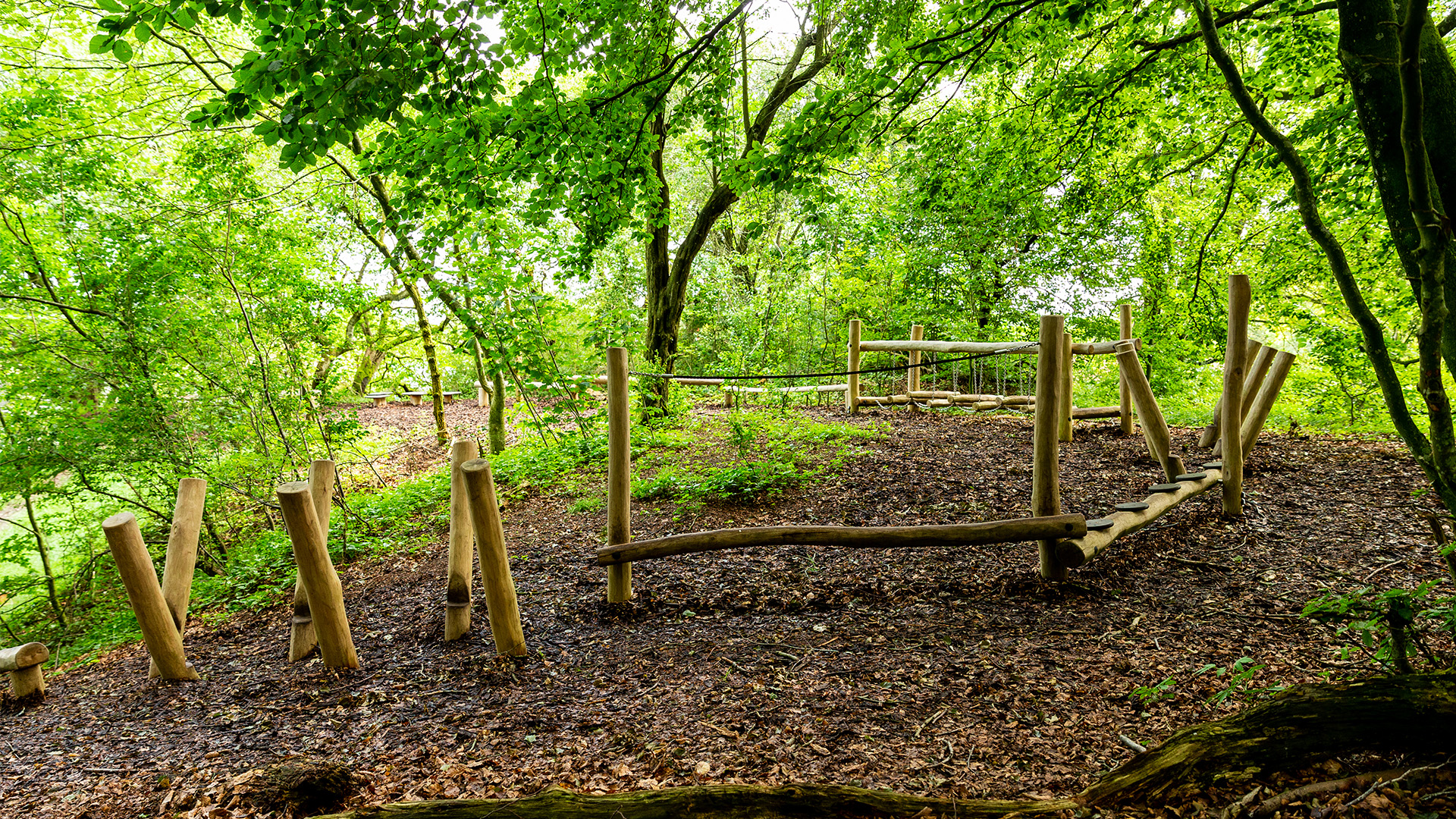Heksegryden junglepath