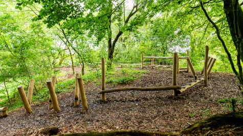 Heksegryden Junglesti