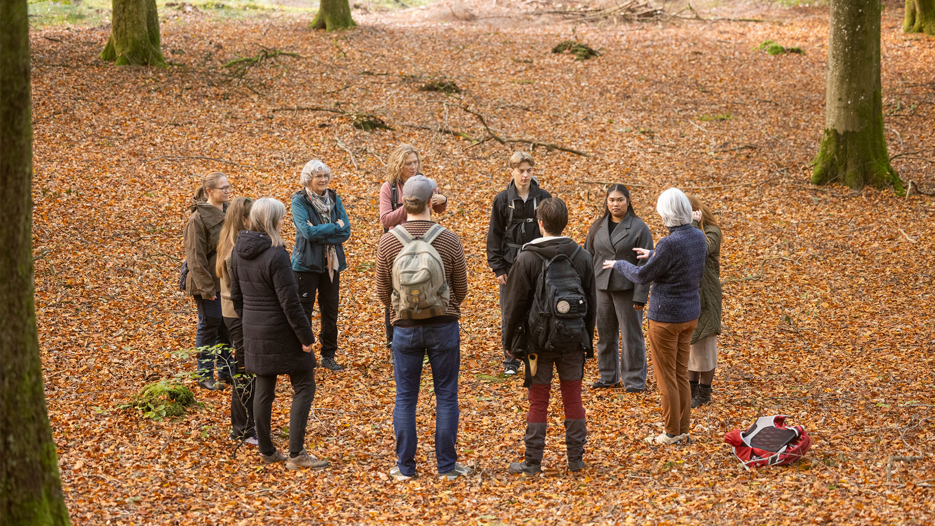 Sansevandring Gruppe