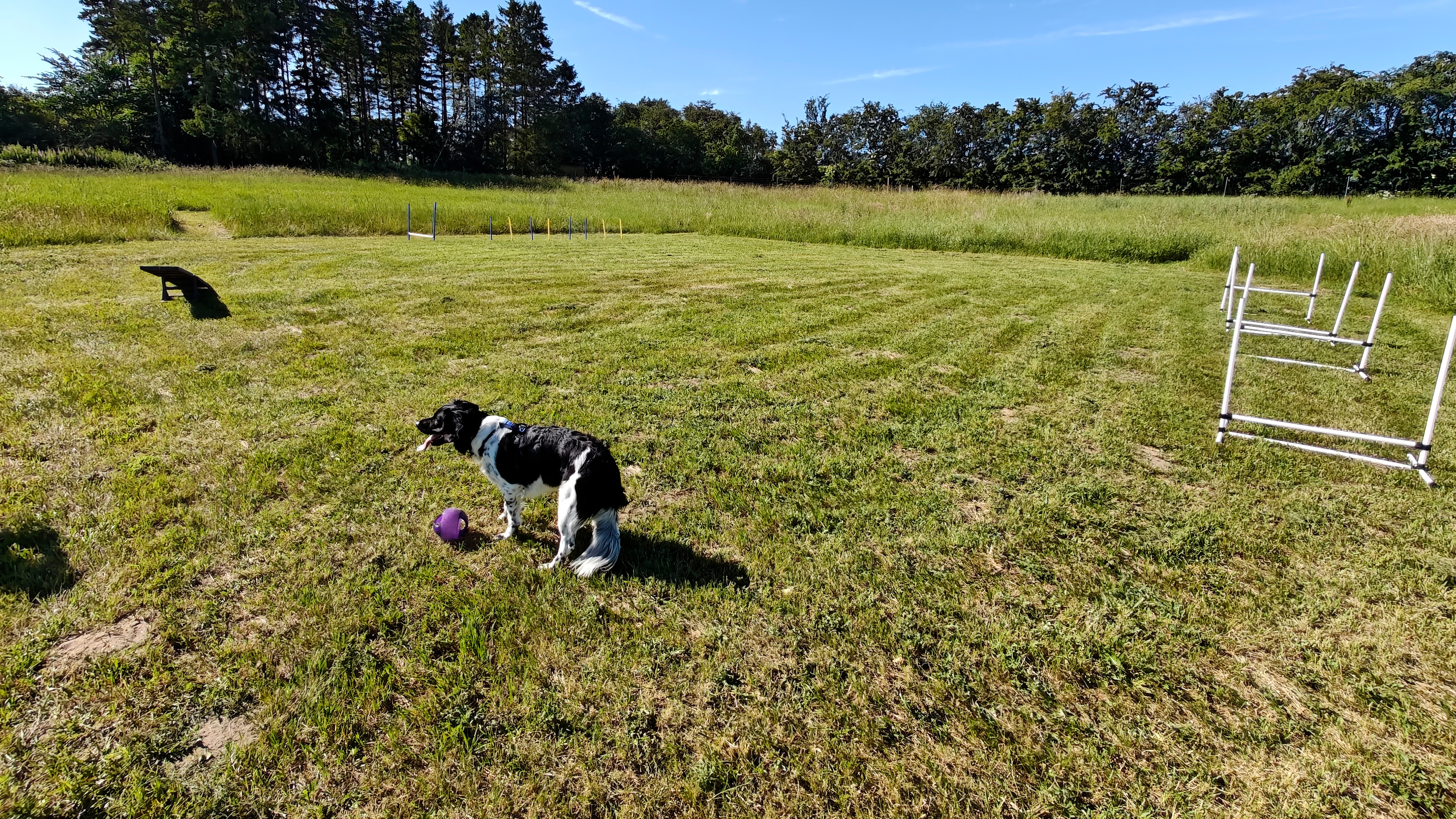 Vejgaardens Hundepark