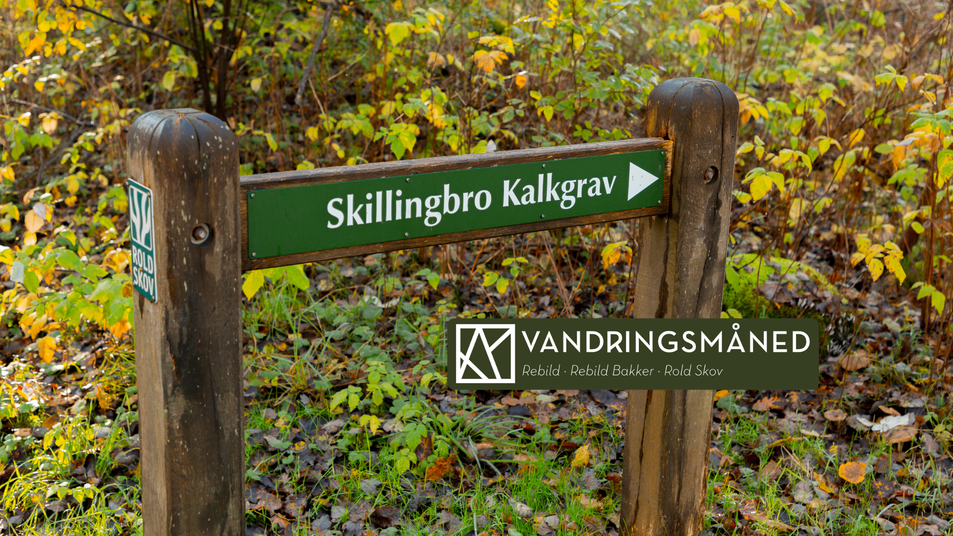 Skillingbro kalkgrav