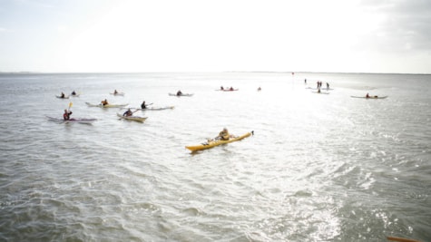 Med kajak i Vadehavet - Fanø