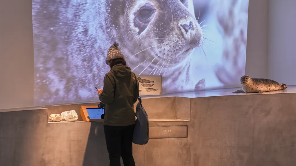seal exhibition | Wadden Sea Centre