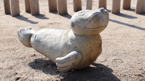 Seal | playground on Mandø