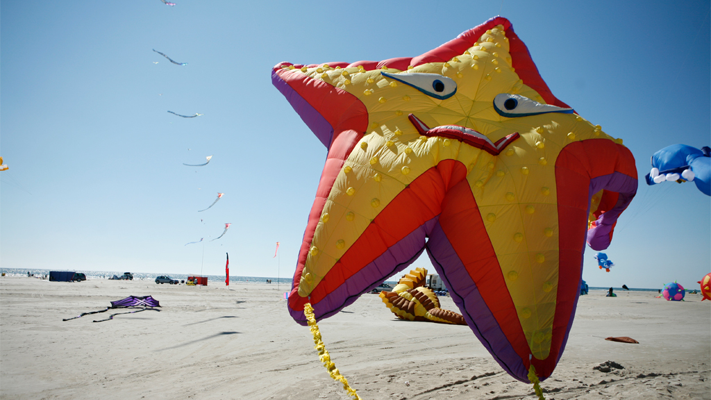 Kite Festival Fanø