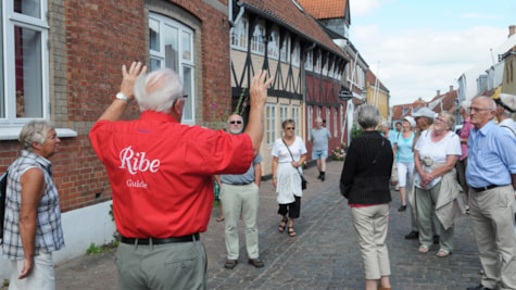 Einer von Ribes Führern