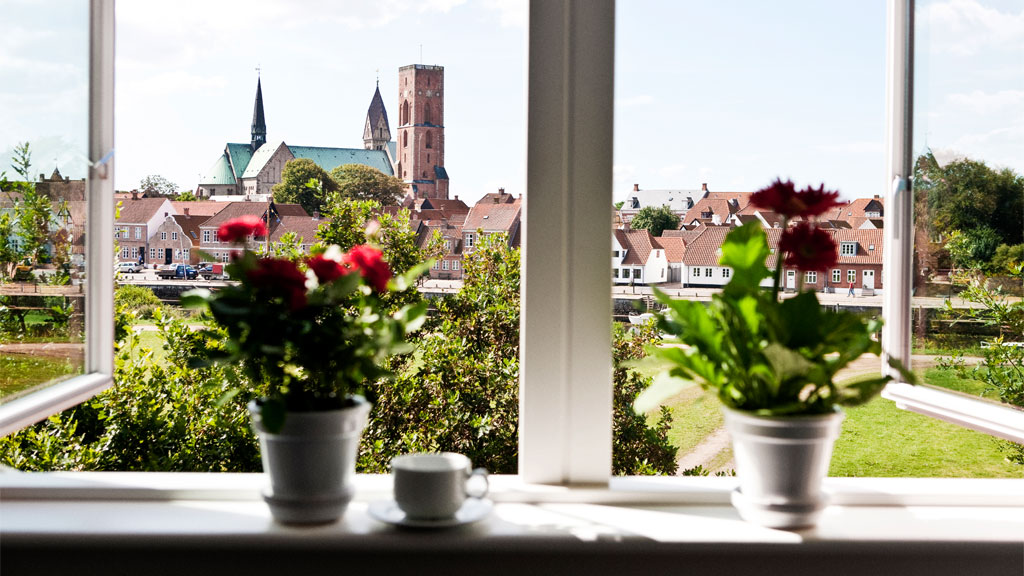 View of the Cathedral from a room at Danhostel Ribe