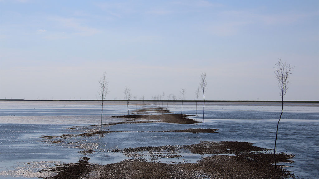 the road to Mandø