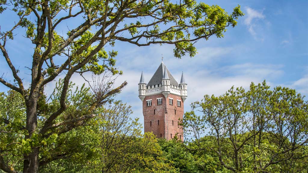 Esbjerg Wasserturm durch Baumwipfel gesehen