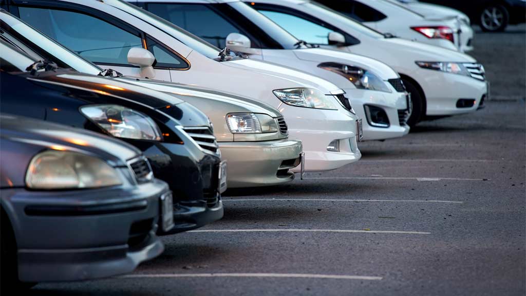 Parken in Esbjerg