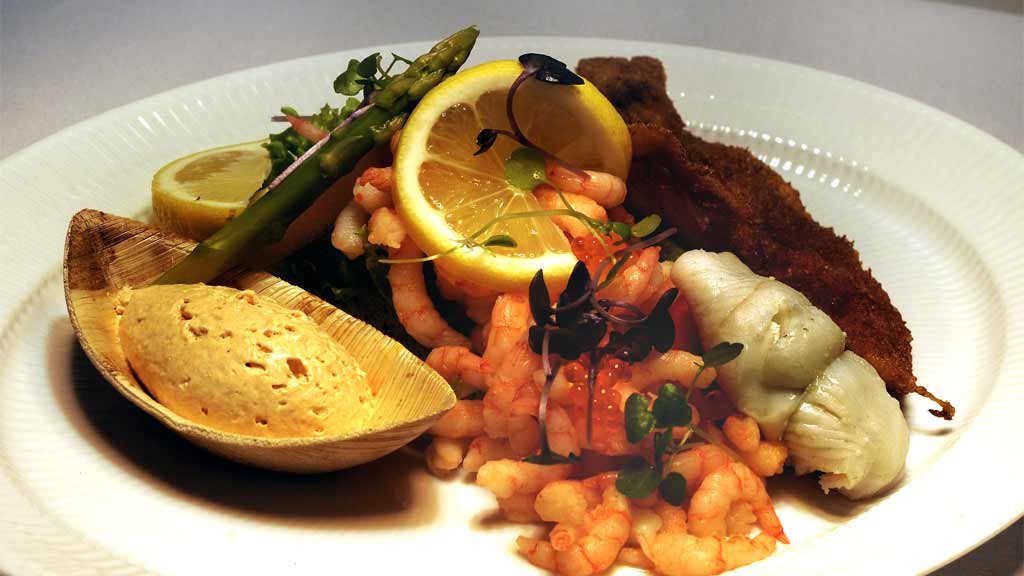 Stjerneskud på Sælhunden