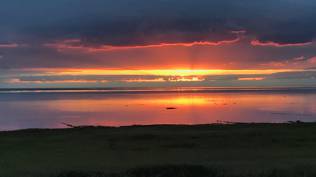 Vadehavet | solnedgang | B&B Mandø
