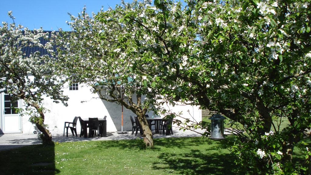 Husets set fra haven hos B&B Mandø