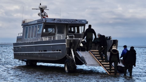 Mandoepigen | Turbaad in the Wadden Sea