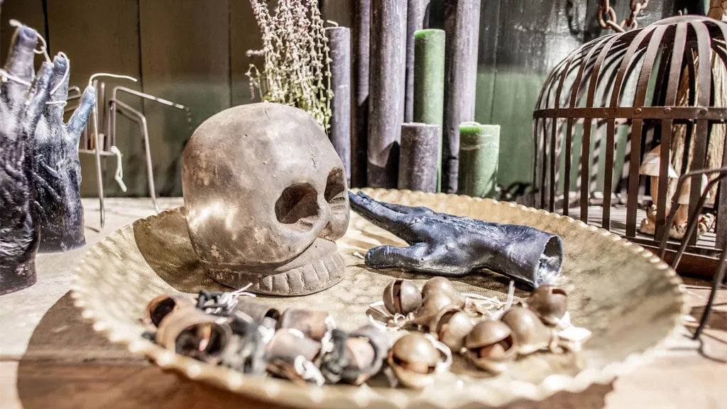 Skull from the store | HEX Museum | By the Wadden Sea