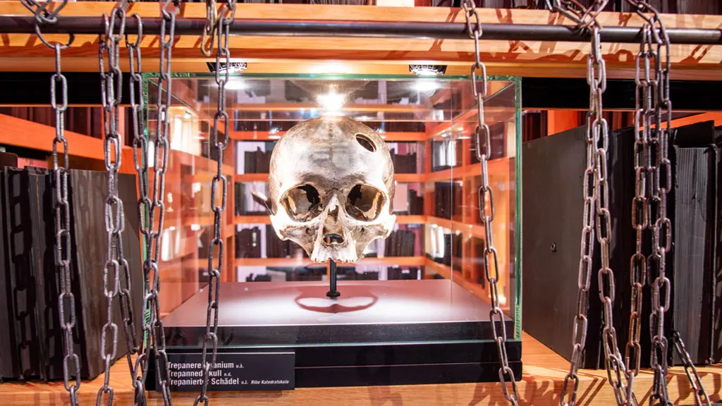 Skull in the exhibition | Hex Museum | By the Wadden Sea