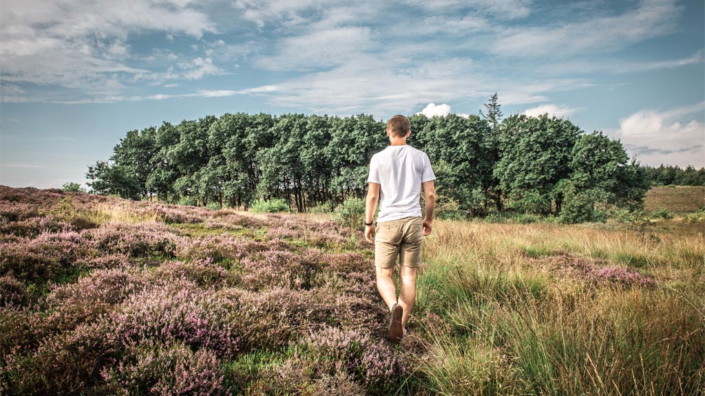 Gehen Sie in Marbæk Plantage